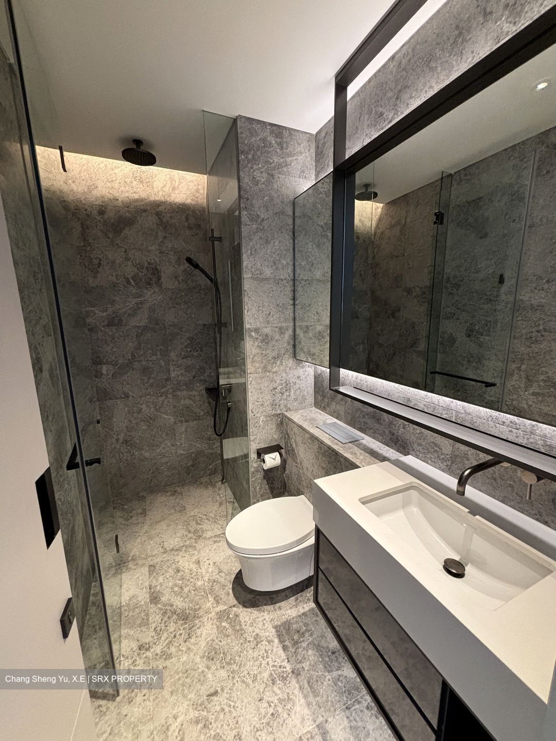 Cuscaden Reserve (D10), Condominium #433194851